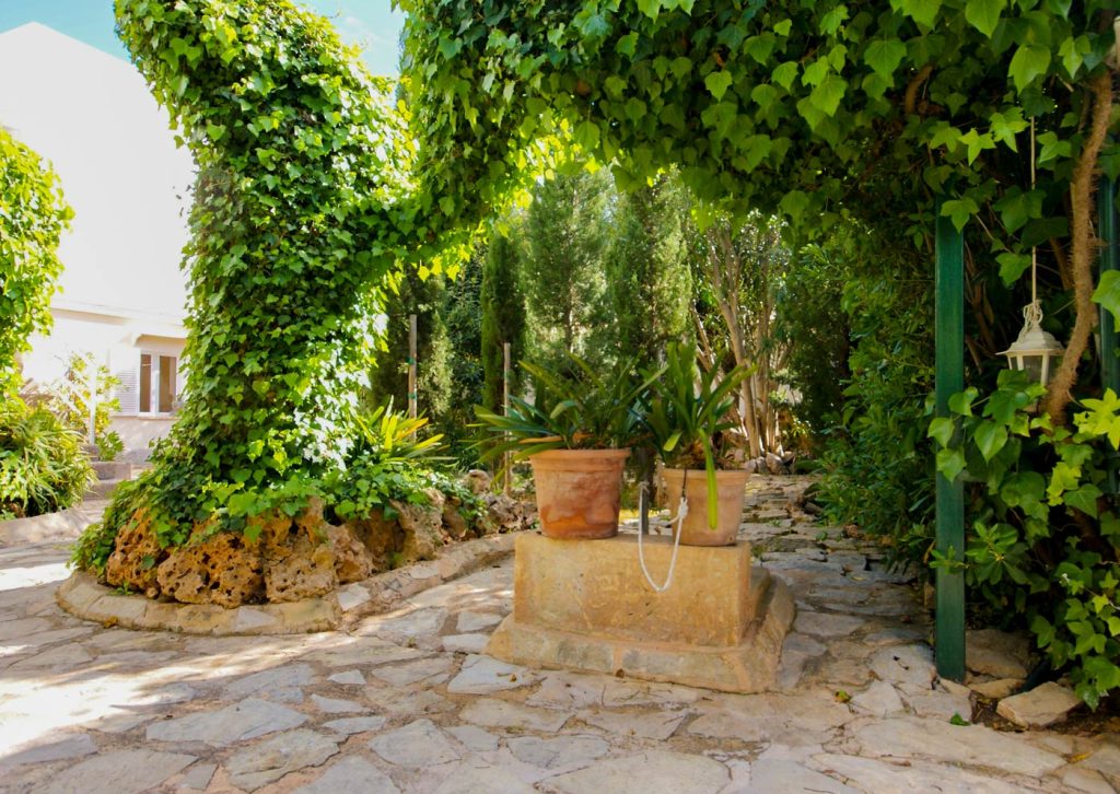 PRAXIS FISIO Cala Millor